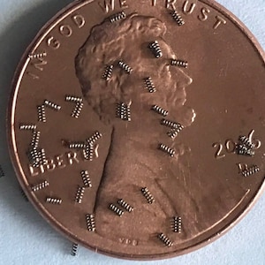 Lot of 25 -  Micro / Miniature / Tiny Stainless Steel Compression Springs