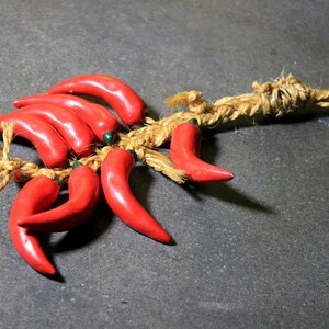 May include: A string of red chili peppers tied together with twine. The peppers are arranged in a fan shape and are tied together at the top.