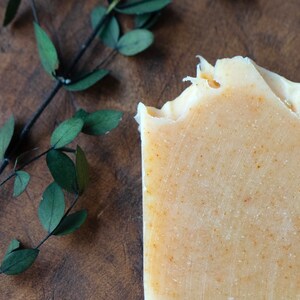 Cedarwood | Cedarwood Soap | All Natural Soap | Handmade Soap | Eucalyptus Soap | Essential Oils | Gift for her
