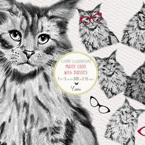 Clipart chat Maine Coon, clipart animal de compagnie, clipart chaton, chat pour mug, graphiques de chat, impression de chat, illustration de chat, cadeau pour les amoureux des chats, art de chat TP17