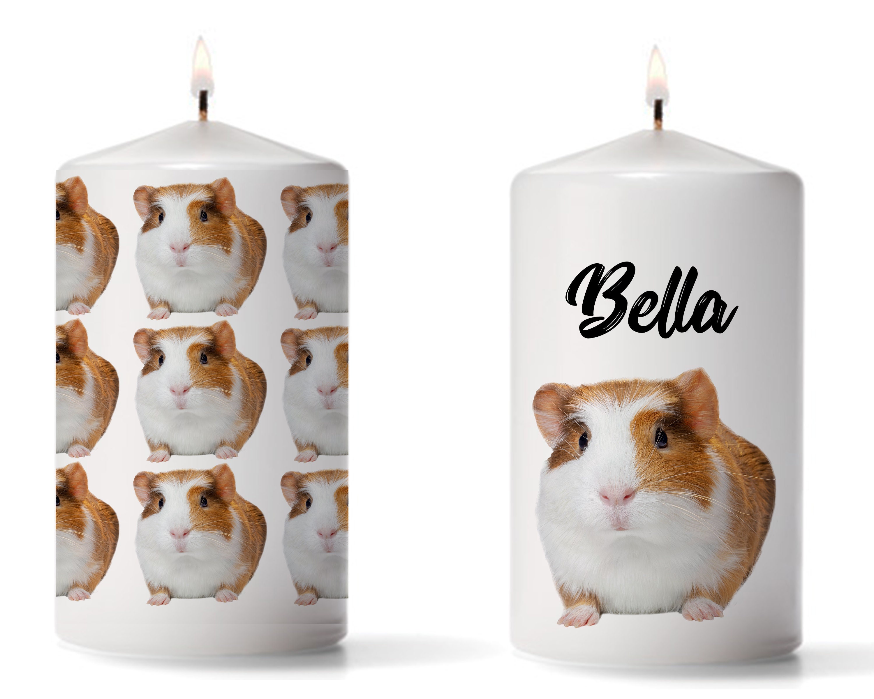 Guinea Pig Candle, Guinea Pig Lover Gift, Pet Gift, Hamster Gift Candle, Pet Memorial, Hamster