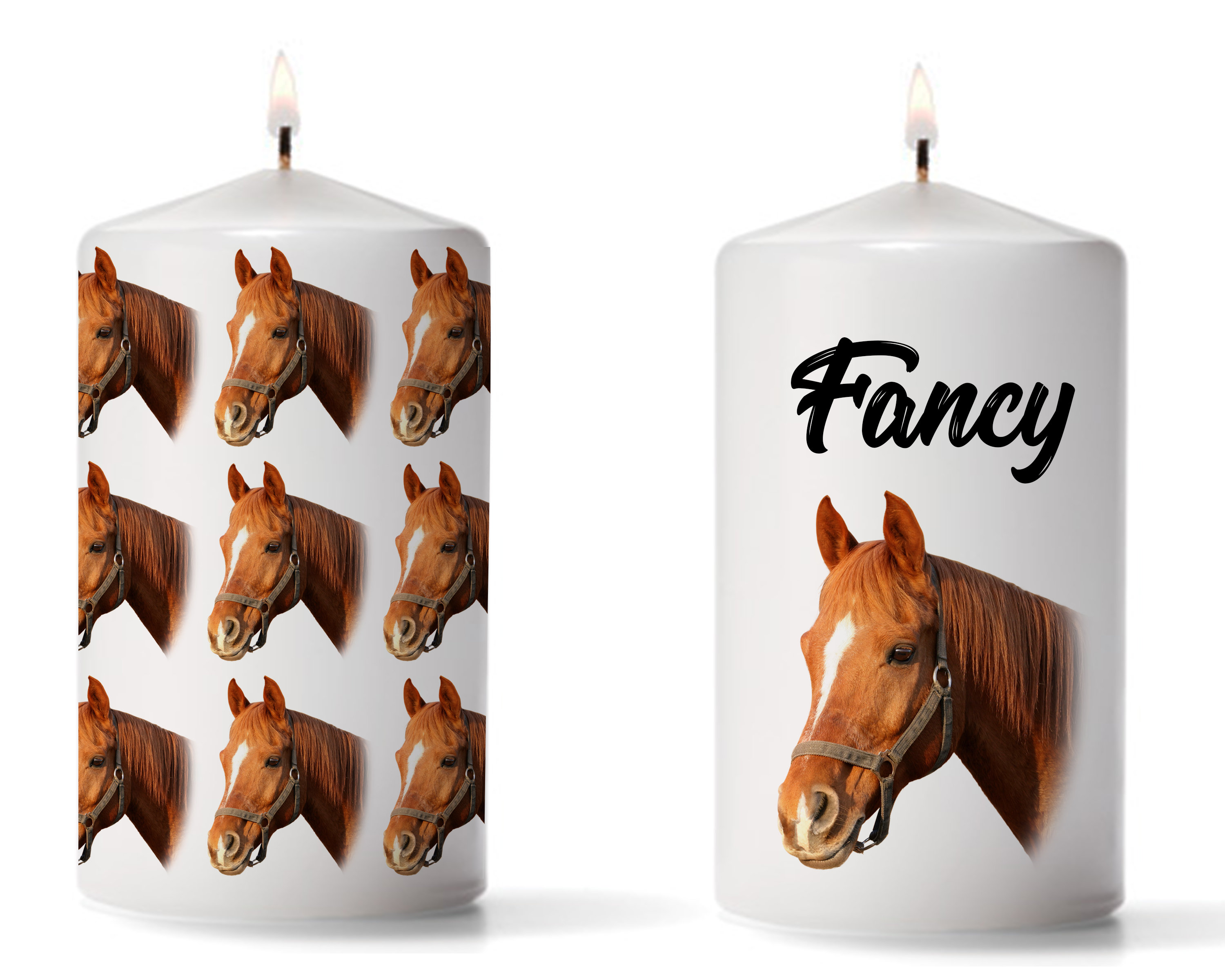 Gift for Horse Lover Horse Lover Gift Horse Lovers Horse Etsy