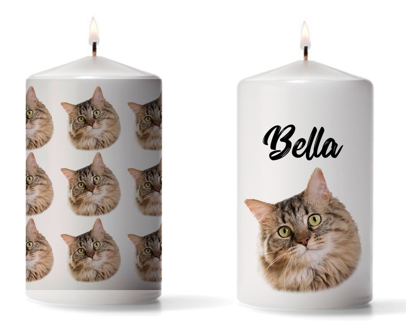 Guinea Pig Candle Guinea Pig Lover Gift Pet Gift Hamster Etsy