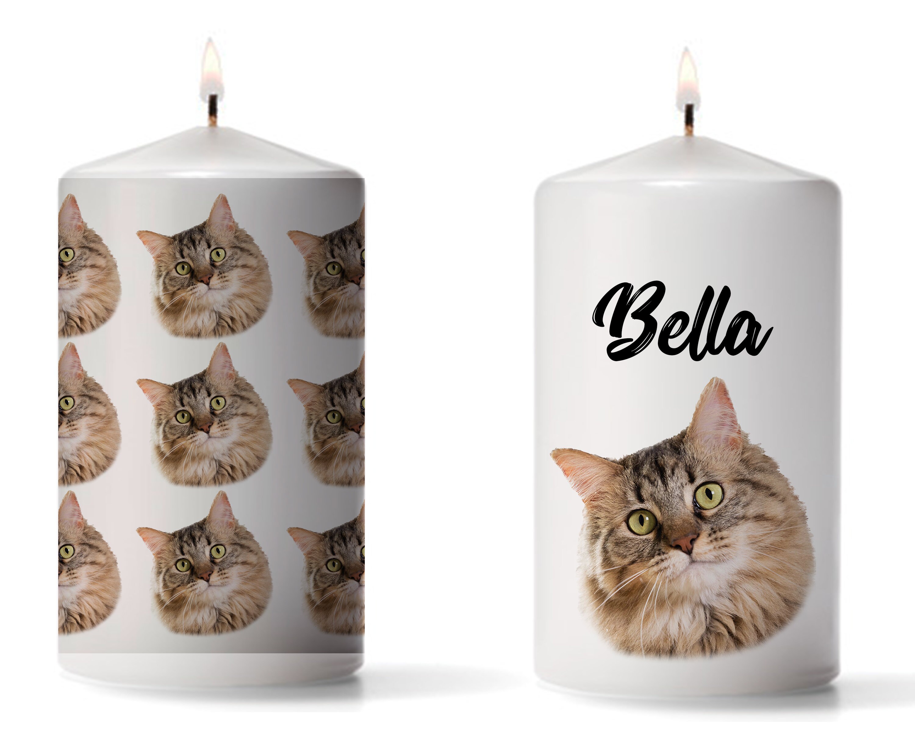 Guinea Pig Candle Guinea Pig Lover Gift Pet Gift Hamster Etsy