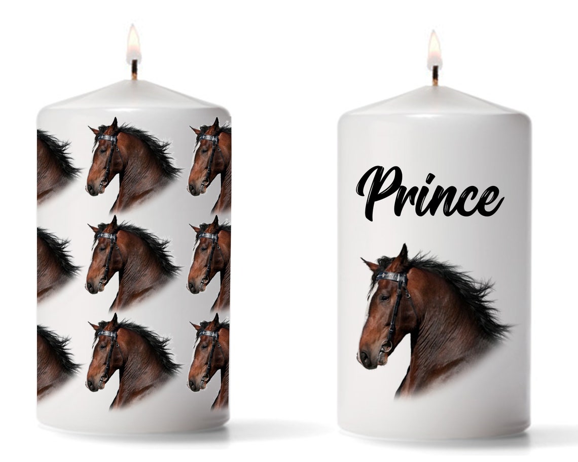 Gift for Horse Lover Horse Lover Gift Horse Lovers Horse Etsy