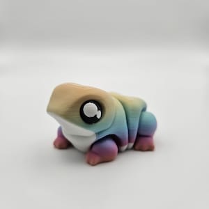 Rainbow Chonky Frog (Bull Frog) | 3D Printed Articulating Flexi Fidget