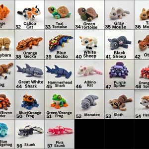 Puede incluir: Una cuadr&iacute;cula de peque&ntilde;as figuras de animales de colores. La colecci&oacute;n incluye gatos, tortugas, ratones, un carpincho, geckos, tiburones, un perro, una rata, ara&ntilde;as, un manat&iacute;, un perezoso, erizos y una mofeta. Cada figura est&aacute; etiquetada con su nombre y color.