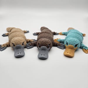 May include: Three toy platypuses in a row, each with a different colour scheme. The first is tan, the second is brown, and the third is teal. Each has a grey bill and webbed feet.