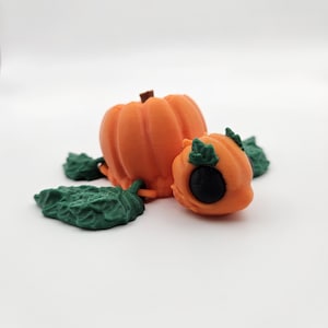 Pumpkin Turtle | 3D Printed Articulating Flexi Fidget