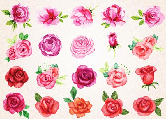 watercolor roses clipart watercolor roses svgpng 300 ppi red etsy