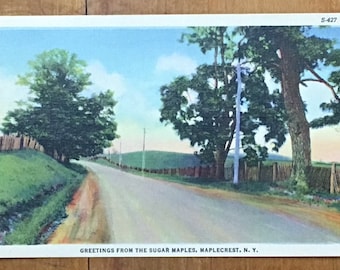The Sugar Maples, Maplecrest, N.Y. Vintage Postcard