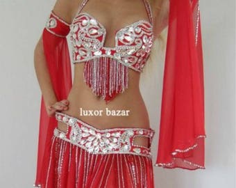 Embroidered Belly Dance Costume: Custom Made Egyptian Dance Outfit