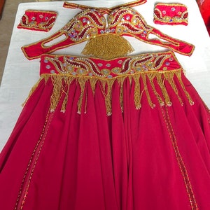 Wine-Red Belly Dance Costume: Custom Bra & Skirt Set