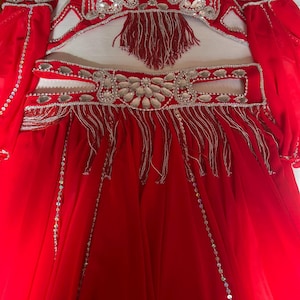 Handmade Red Belly Dance Costume: Beaded Chiffon Skirt, Sleeves