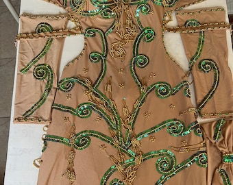 Custom Belly Dance Costume: Egyptian Dance Dress with Sleeves & Headband