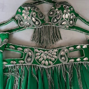 Green Belly Dance Costume: Custom Handmade Rhinestone Bra & Belt Set