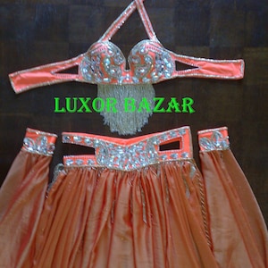 Luxurious belly dance costume professional, handmade adorned belly dance skirt, belt and bra outfit, custom made dance ensemble for women