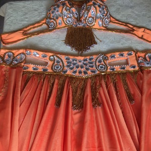 Embroidered Belly Dance Costume: Custom-Made Chiffon Skirt, Bra & Belt