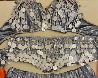 Professional silver belly dance costume featuring a matching ensemble of dancing belt, skirt, bra, sleeves.