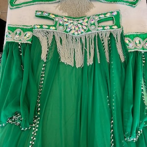 Vibrant Emerald Green Professional belly dance costume/ custom-made Belly dancer Outfit