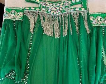 Vibrant Emerald Green Professional belly dance costume/ custom-made Belly dancer Outfit