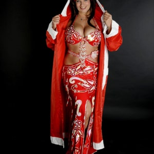 Red Beaded Belly Dance Costume: Handmade Bra, Skirt & Sleeves