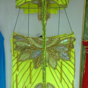 Custom Belly Dance Costume: Handmade Oriental Bra & Skirt Set
