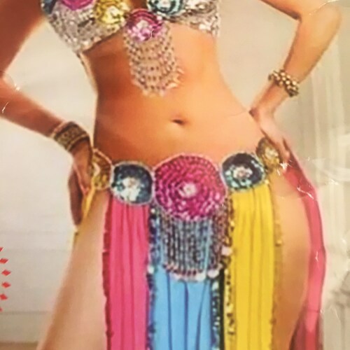 Egyptian Sexy multi-colors belly dance costume, handmade embroidered bellydance dress, belt, skirt,scarf and bra oriental outfit, women wear