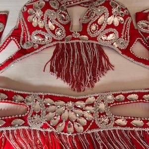Professional belly dance costume set, Handmade Super rich beaded dancing outfit, Sexy dancing belt, skirt, bra and arm pieces ensemble.
