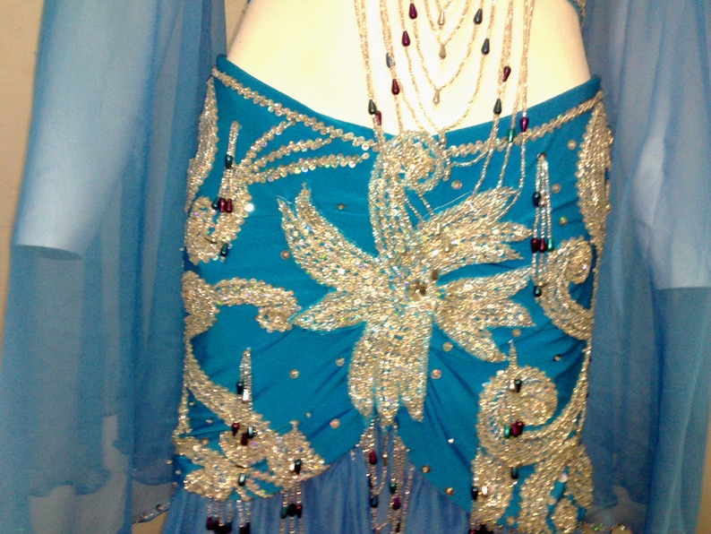 Egyptian Professional Belly Dance Costume Bellydance Dress Etsy