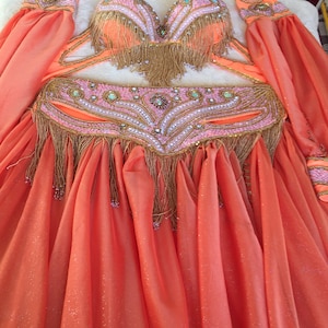 Custom Beaded Belly Dance Costume: Lycra Chiffon Bra & Skirt