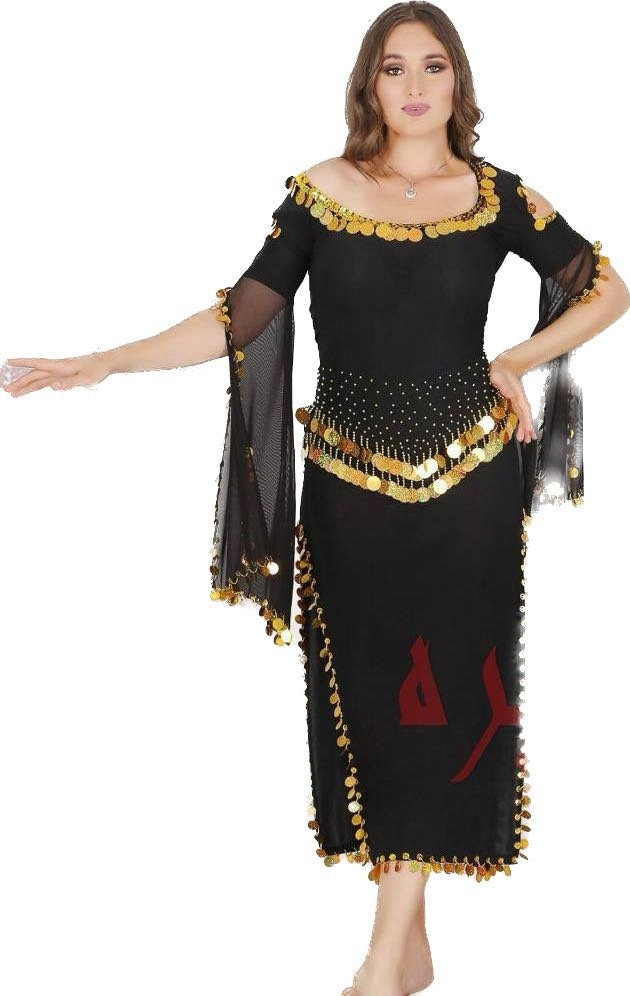 Disfraz de danza del vientre vestido de bollywood – Halloween gasa danza  traje trajes con velo de cabeza para mujer