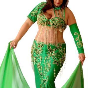Custom Made Belly Dance Costume: Beaded Bra & Skirt Set