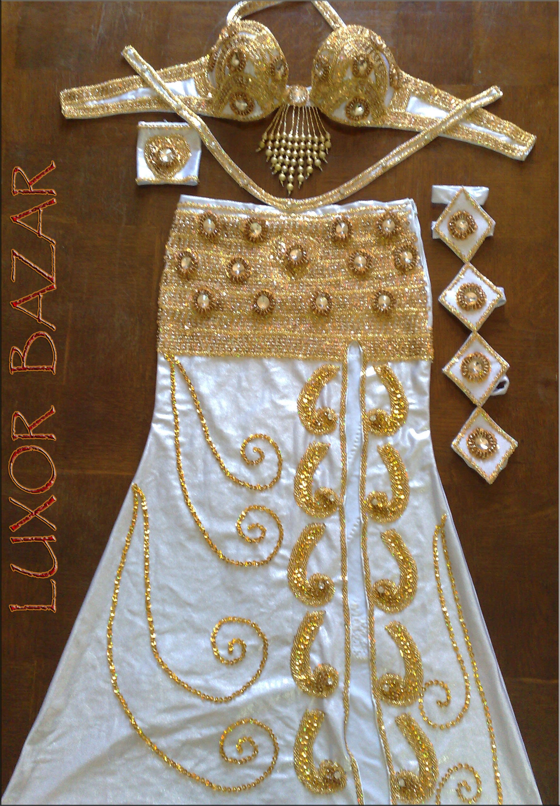 Custom Egyptian Professional Belly Dance Costume - Any Color, Any Size (Made To Order)