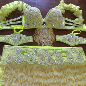 Professional Belly Dance Costume From Egypt Custom-made - Etsy