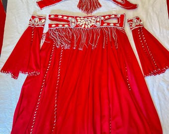 Custom Egyptian Belly Dance Costume: Lycra & Chiffon, Rhinestone Detail