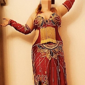 Superbe costume de danse du ventre rouge bordeaux professionnel fait sur commande costume de danseuse du ventre fait main tenue de danse du ventre à paillettes colorées