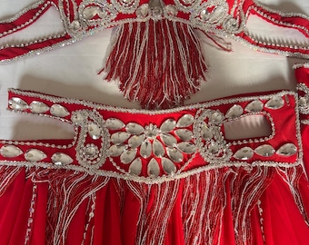 Custom Belly Dance Costume: Handmade Egyptian Outfit with Chiffon Skirt