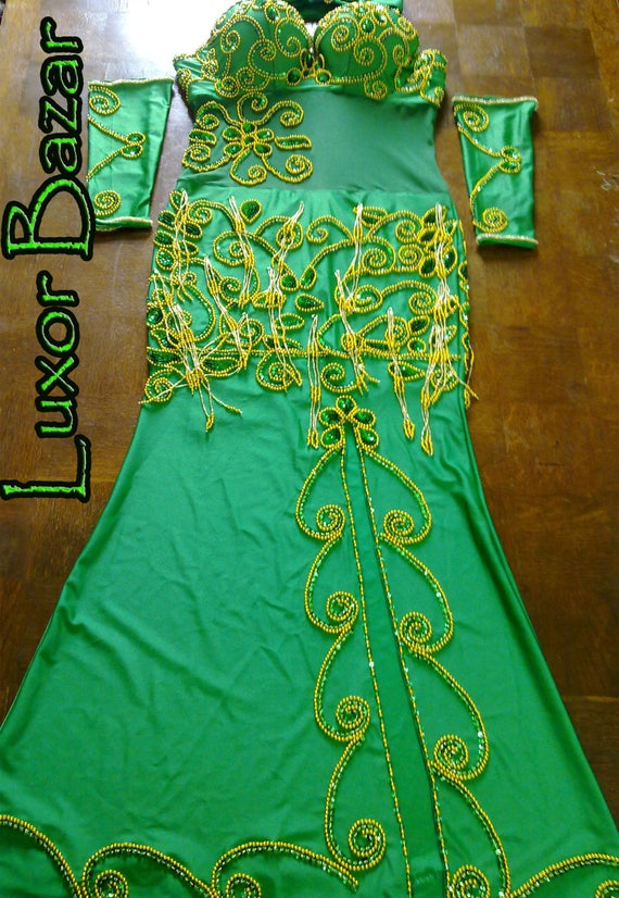 Handmade Egyptian Belly Dance Costume: Embroidered Oriental Dress