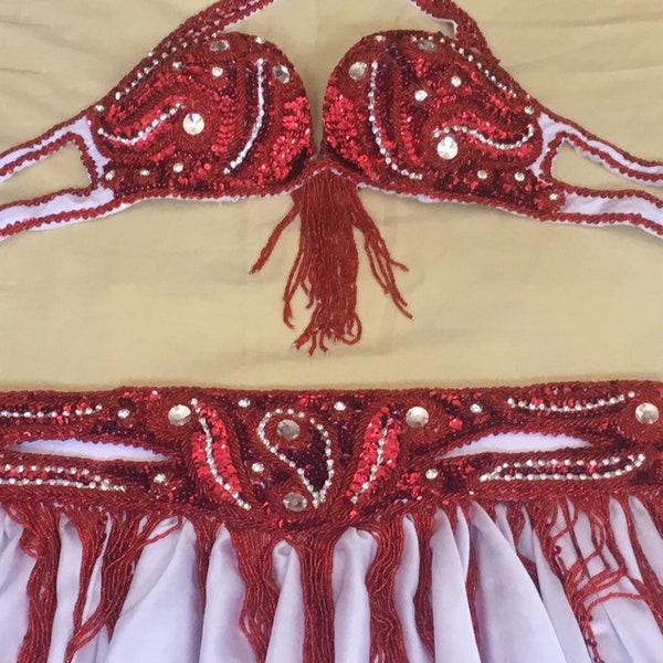 Professional Belly Dance Costume From Egypt BELLYDANCE Custom Made Any Color, New Gypsy dance costume, Bauchtantz Kostuem, Handmade Outfit