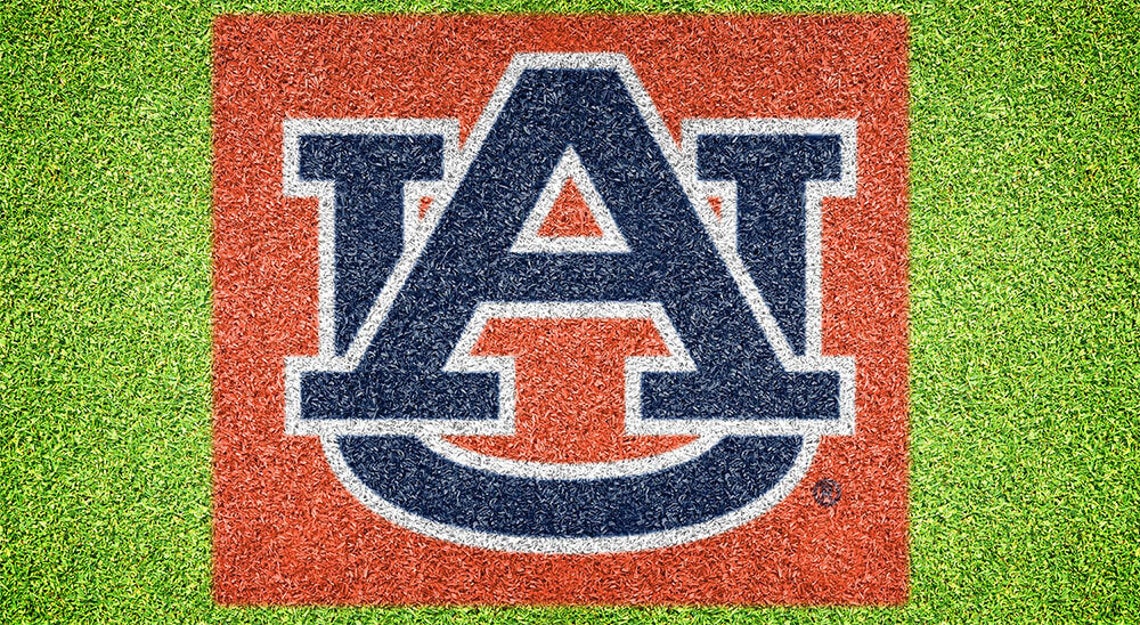 Auburn University Stencil Kit XL Etsy Canada Auburn University Stencil Kit XL Etsy Canada