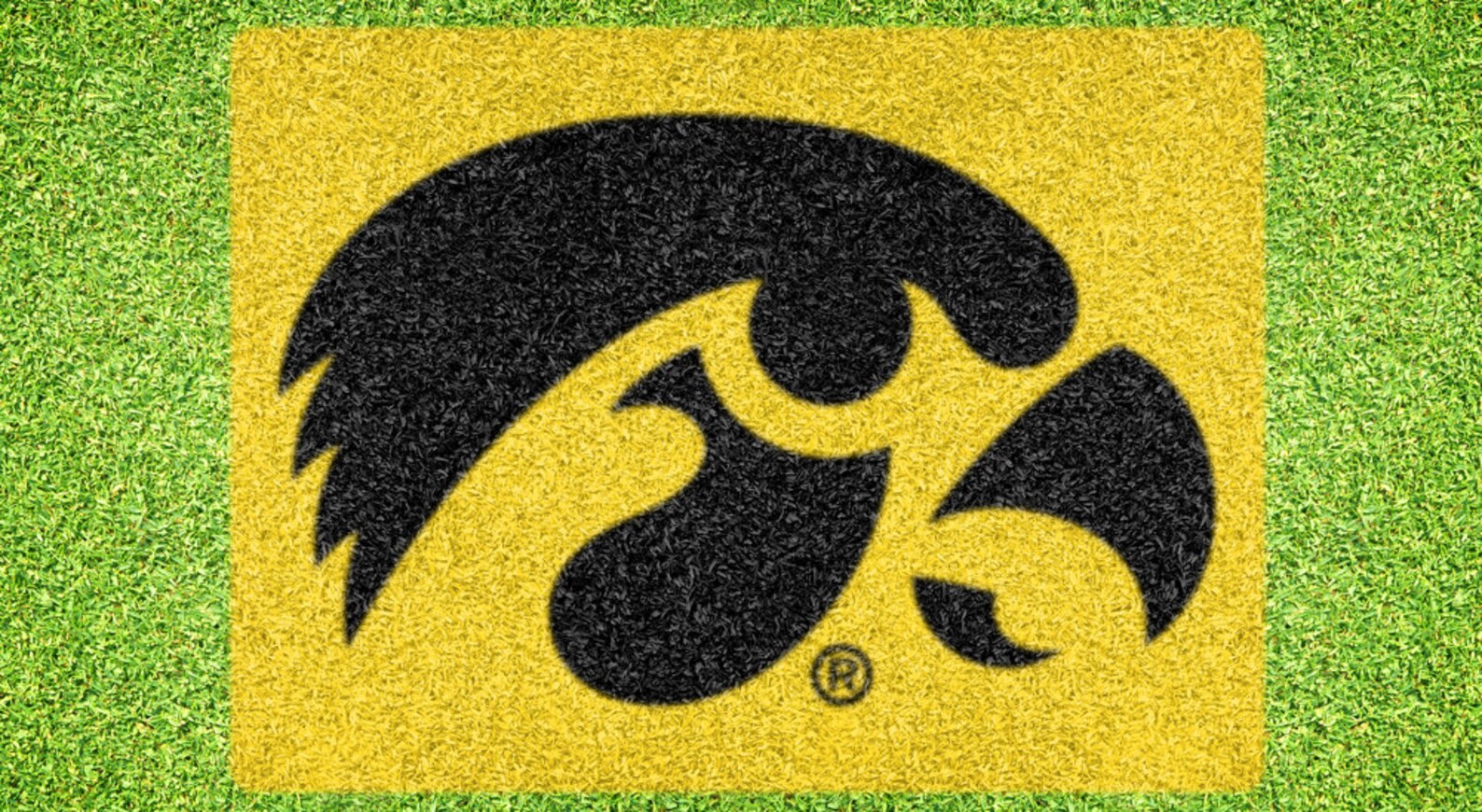 IOWA HAWKEYE Lawn Stencil Including Paint | Etsy