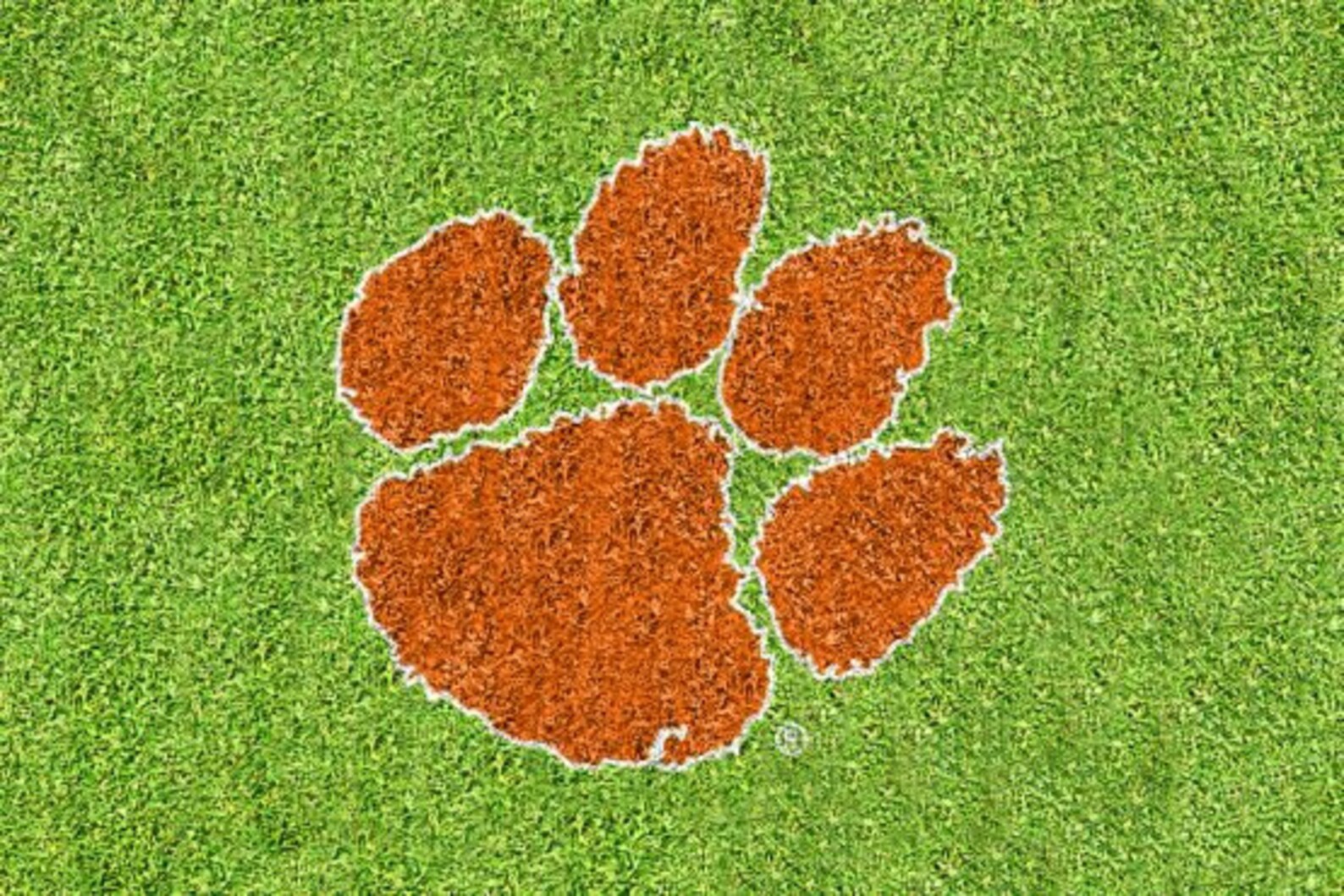 Clemson Paw Lawn Stencil Includes Paint Etsy Clemson Paw Lawn Stencil Includes Paint Etsy