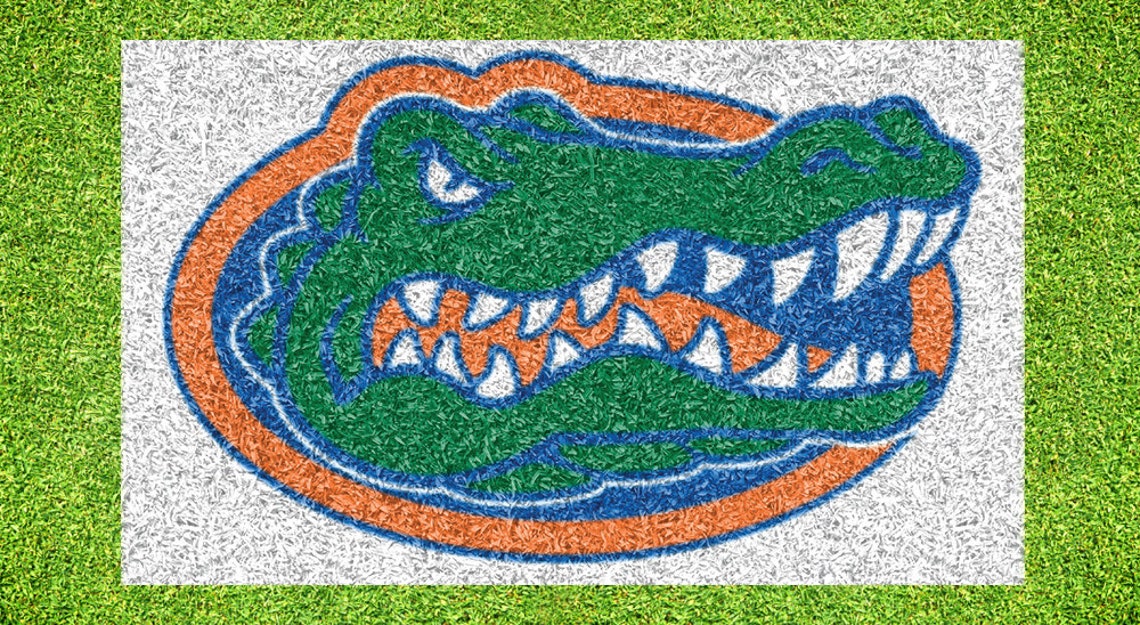 University Of Florida Gator Lawn Stencil Including Paint Etsy university-of-florida-gator-lawn-stencil-including-paint-etsy