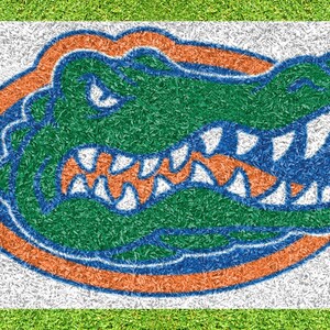 University of Florida Gator – Lawn Stencil Including Paint - Etsy