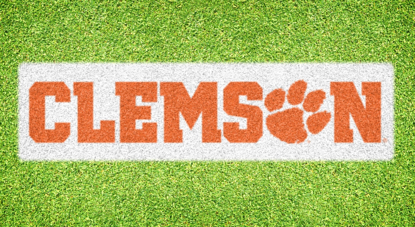 Clemson Lawn Stencil Including Paint Etsy