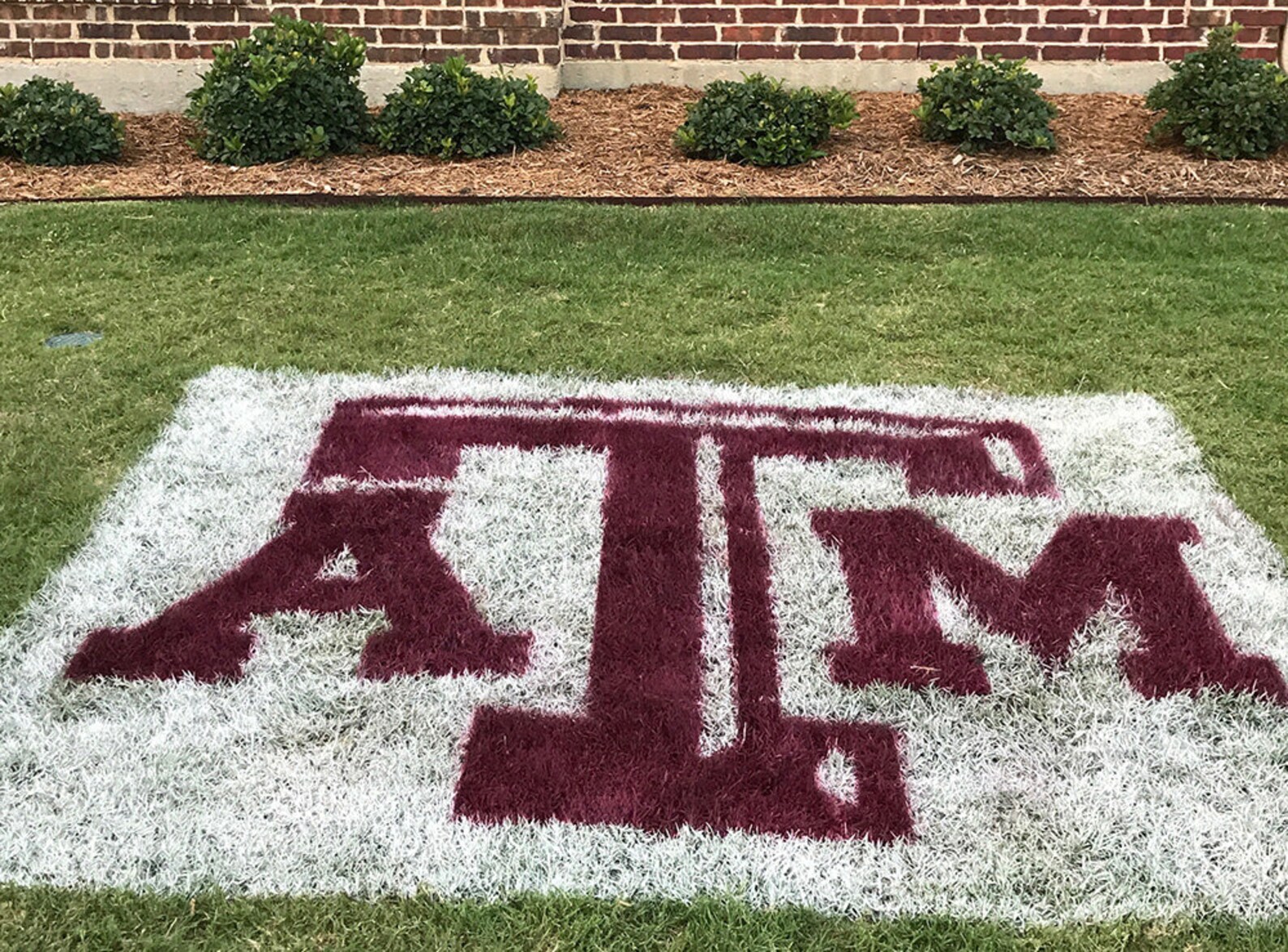 Texas A&M Lawn Stencil Including Paint | Etsy