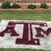 Texas A&M Lawn Stencil Including Paint - Etsy