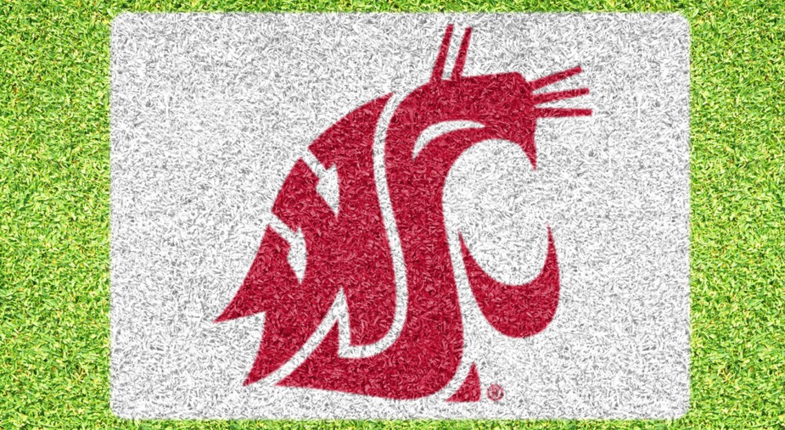 Washington State Cougar Stencil Lawn Stencil Kit - Etsy