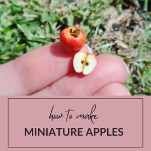 Pode incluir: Uma maçã vermelha em miniatura e uma maçã cortada ao meio são exibidas. A maçã cortada revela as sementes. A imagem inclui o texto "how to make MINIATURE APPLES" em uma caixa rosa. O fundo é grama verde desfocada.